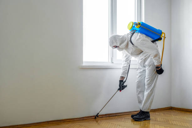 Best Pest Prevention Services  in Lake Forest, CA